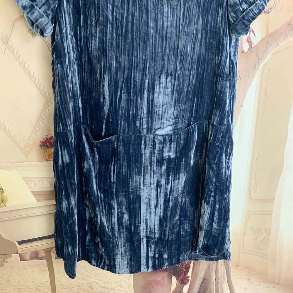 SOLD Anthropologie Floreat Crushed Velvet Dress - Picture 5 of 8